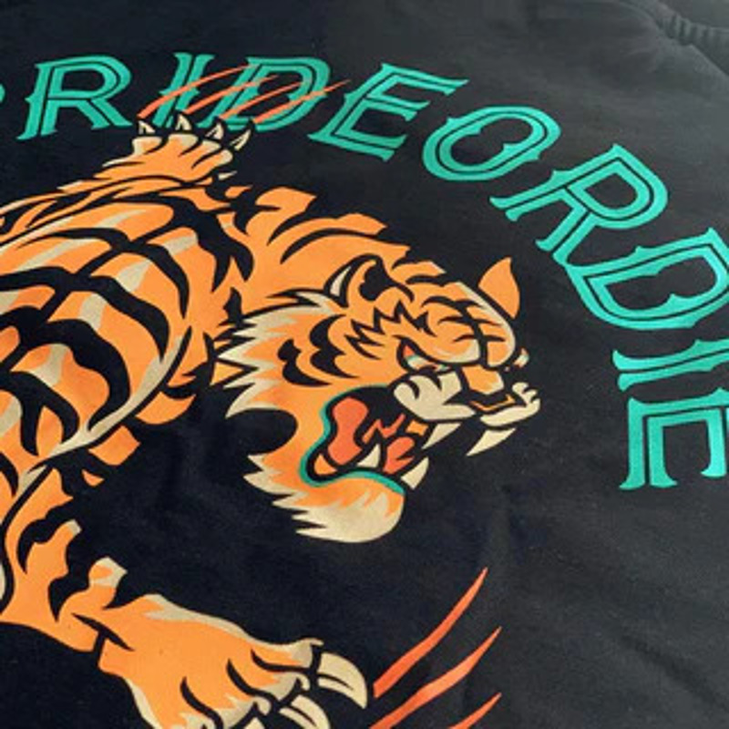 PRiDEorDiE Unleashed v2 T-Shirt - black